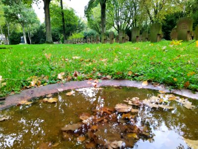 Friedhof Höchst Oktober 2019 017