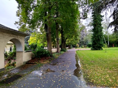 Friedhof Höchst Oktober 2019 025