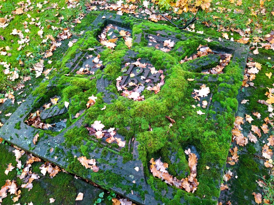 Friedhof Höchst Oktober 2019 023