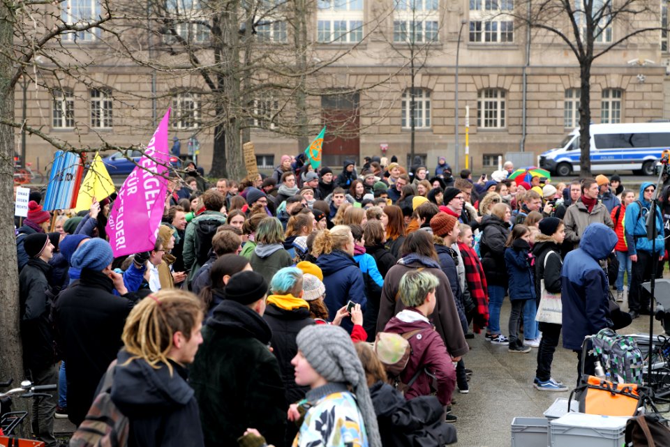 FridaysForFuture protest Berlin 2020-02-14 29
