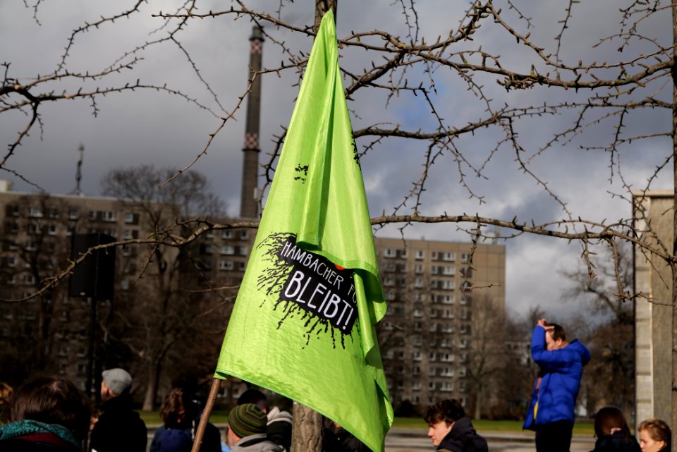 FridaysForFuture protest Berlin 2020-02-28 13