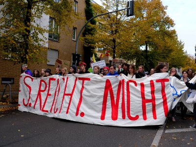 FridaysForFuture protest Berlin 11-10-2019 Invalidenpark - Rotes Rathaus 14