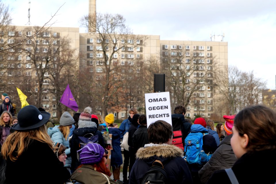 FridaysForFuture protest Berlin 2020-01-31 13