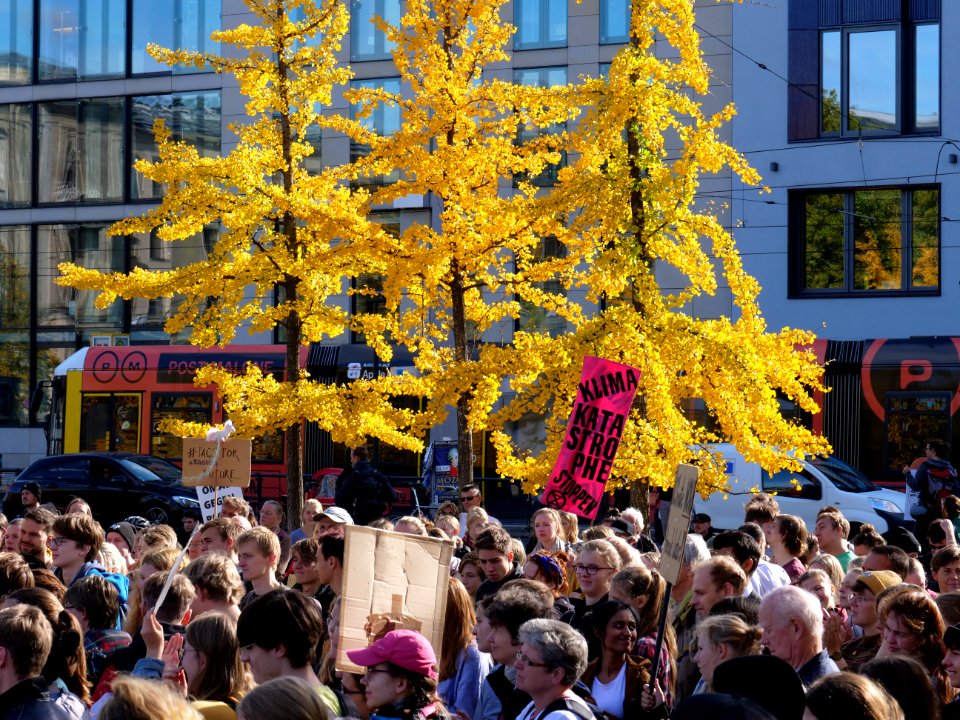 FridaysForFuture protest Berlin 18-10-2019 Invalidenpark 32