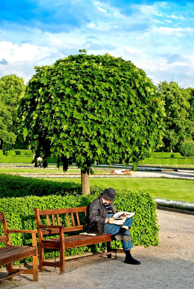 Reader tree city