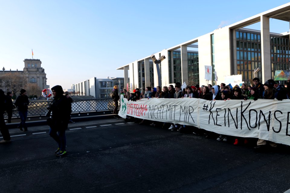 FridaysForFuture protest Berlin 2020-01-24 demonstration 48