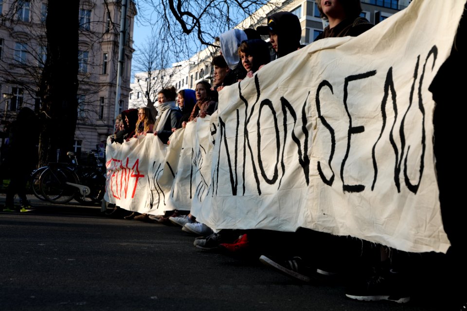 FridaysForFuture protest Berlin 2020-01-24 demonstration 19