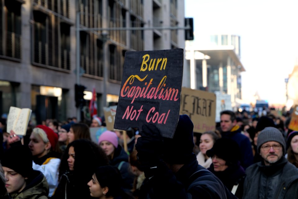 FridaysForFuture protest Berlin 2020-01-24 demonstration 55