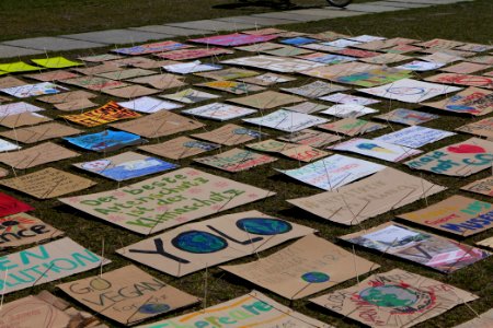 FridaysForFuture protest Berlin 2020-04-24 150