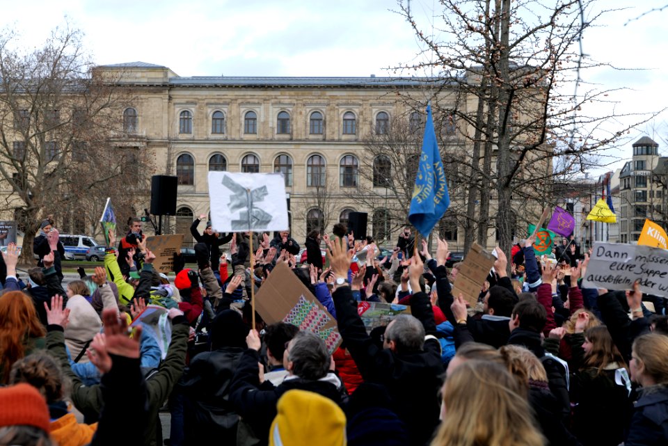 FridaysForFuture protest Berlin 2020-01-31 27