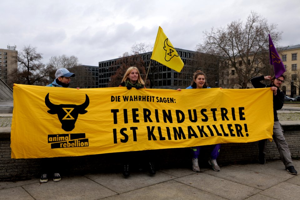 FridaysForFuture protest Berlin 2020-01-31 33