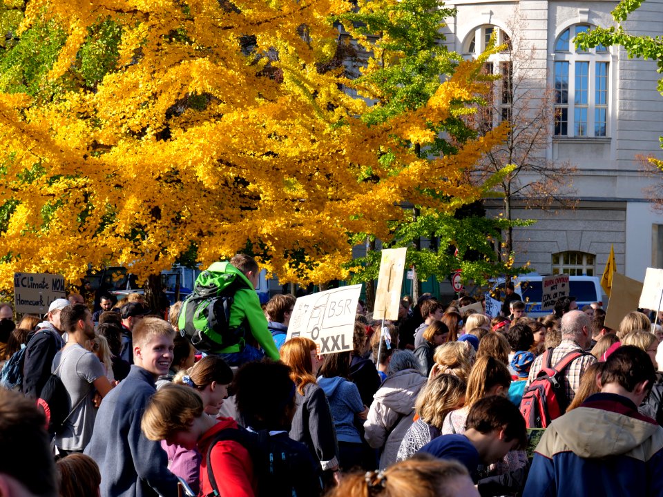FridaysForFuture protest Berlin 18-10-2019 Invalidenpark 13