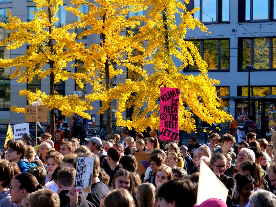 FridaysForFuture protest Berlin 18-10-2019 Invalidenpark 33