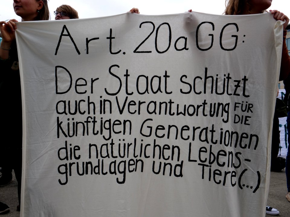 FridaysForFuture protest Berlin 17-05-2019 35