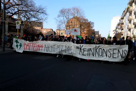 FridaysForFuture protest Berlin 2020-01-24 demonstration 36