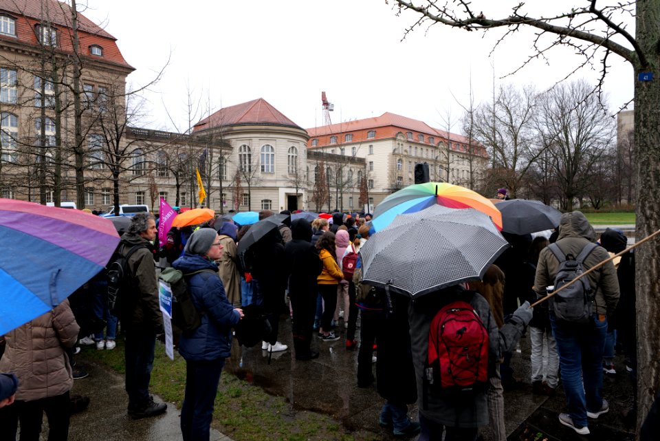 FridaysForFuture protest Berlin 2020-03-06 25