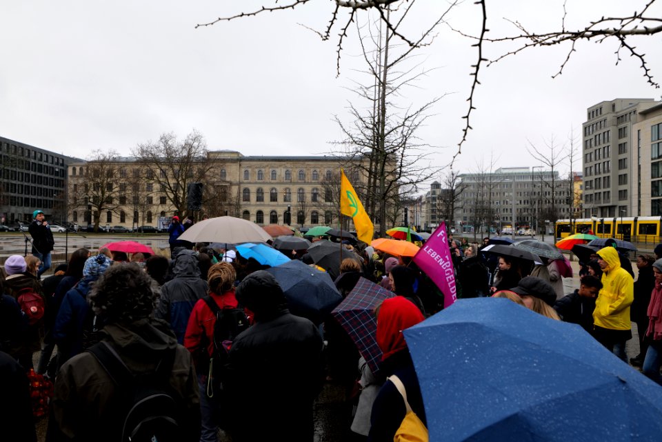 FridaysForFuture protest Berlin 2020-03-06 01