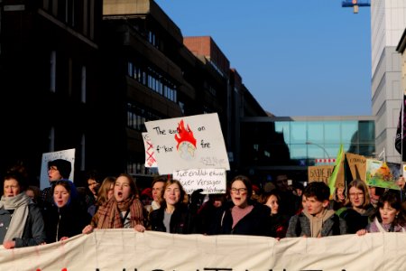 FridaysForFuture protest Berlin 2020-01-24 demonstration 31