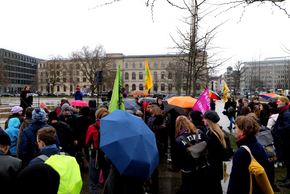 FridaysForFuture protest Berlin 2020-03-06 28