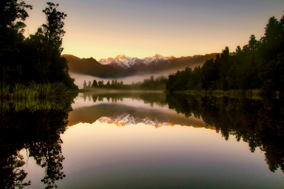 Fog morning silhouettes