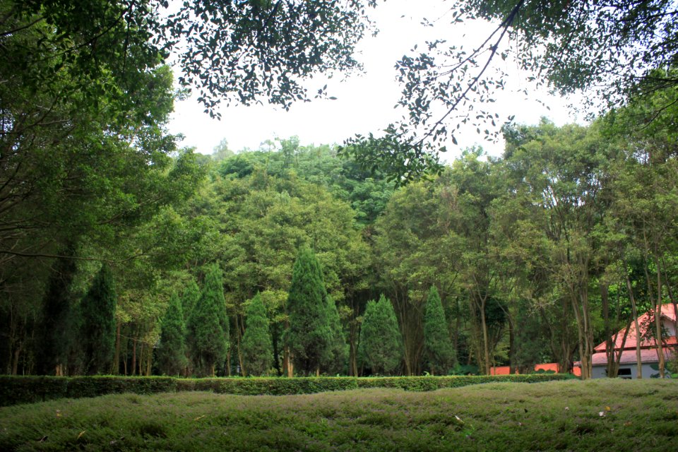 French Garden of Shenzhen International Garden and Flower Expo Park1