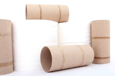 Cardboard toilet paper roll toilet paper photo