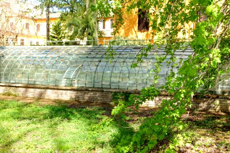French Greenhouse, c. 1883-1884 - Orto botanico - Rome, Italy - DSC09853