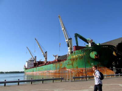 Freighter Chestnut 02