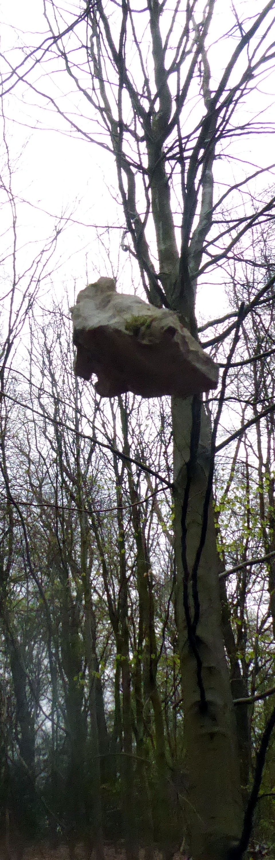 Freier Fall mit einem Stein