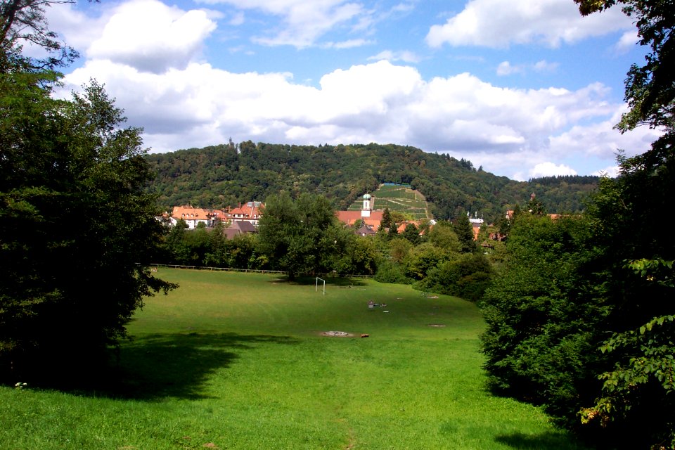 Freiburg Sternwaldwiese