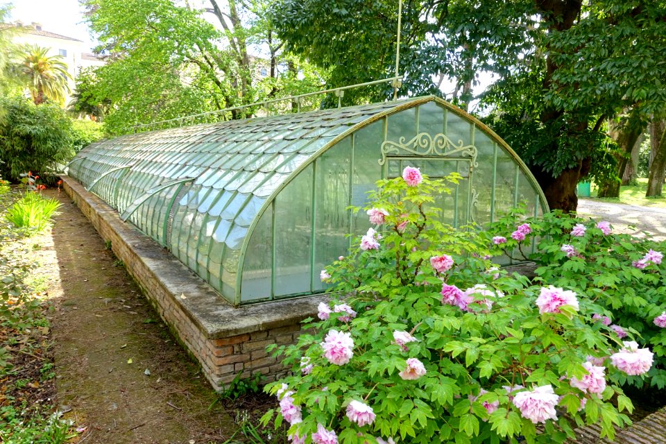 French Greenhouse, c. 1883-1884 - Orto botanico - Rome, Italy - DSC09870
