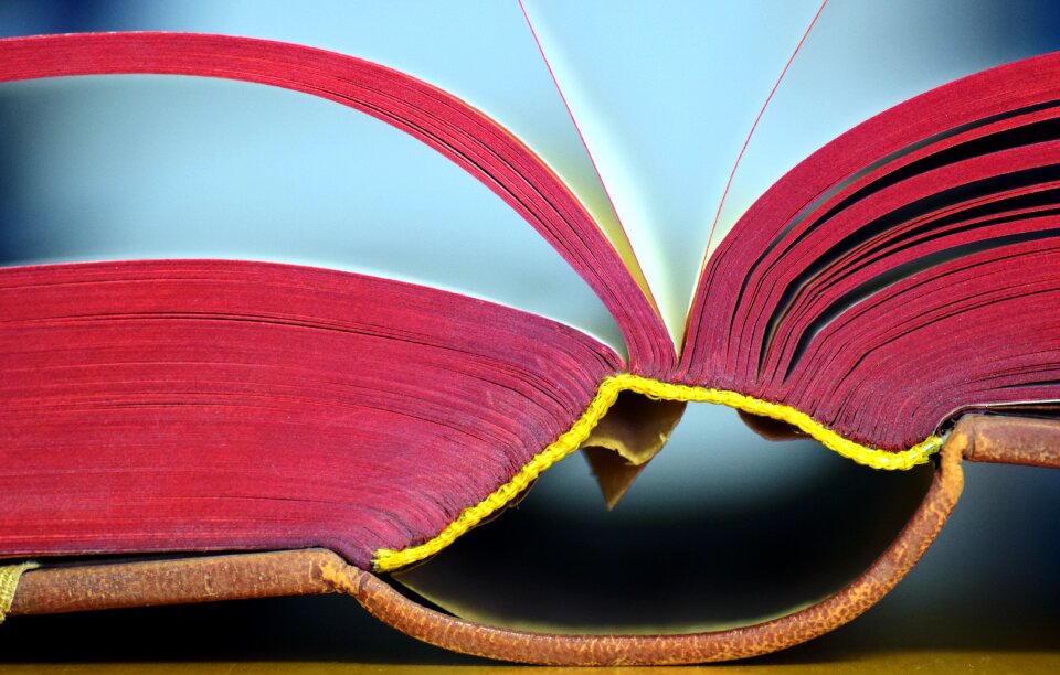 Pitched open book read