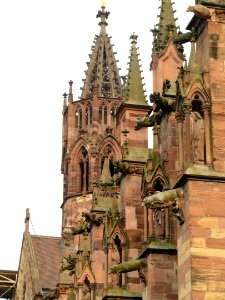 Freiburg Minster - DSC06523