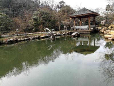 Free Life Pond, Guangji Temple (Hunan), picture3