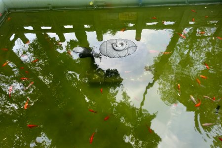 Free Life Pond, Haichuang Temple