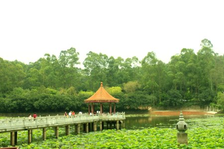 Free Life Pond, Nanhai Guanyin Temple, Foshan, Guangdong, China, picture3