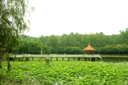 Free Life Pond, Nanhai Guanyin Temple, Foshan, Guangdong, China, picture6 photo