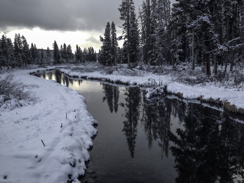 Winter landscape tranquil