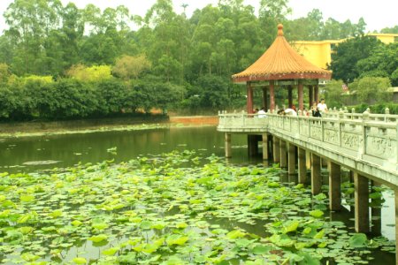 Free Life Pond, Nanhai Guanyin Temple, Foshan, Guangdong, China, picture1