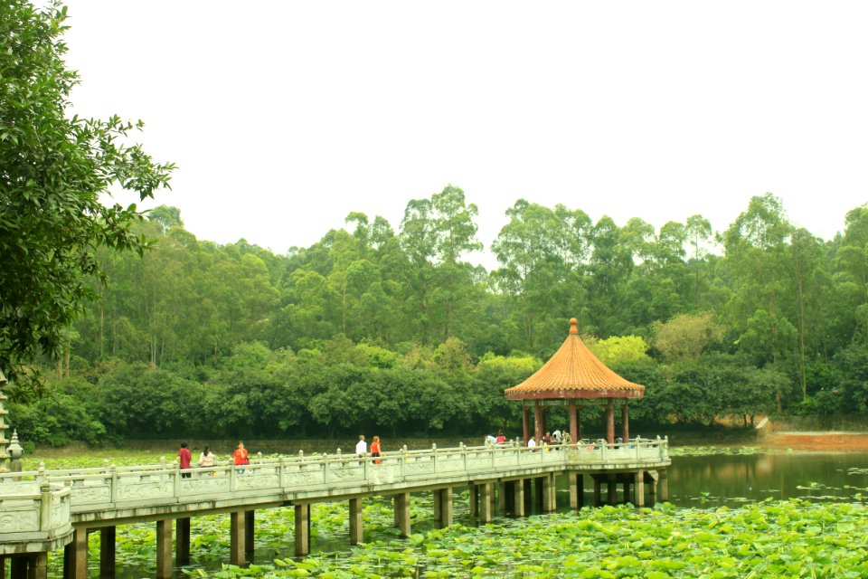 Free Life Pond, Nanhai Guanyin Temple, Foshan, Guangdong, China, picture2