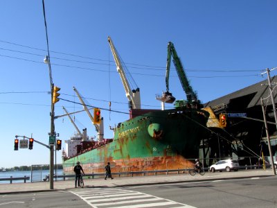 Freighter Chestnut 01