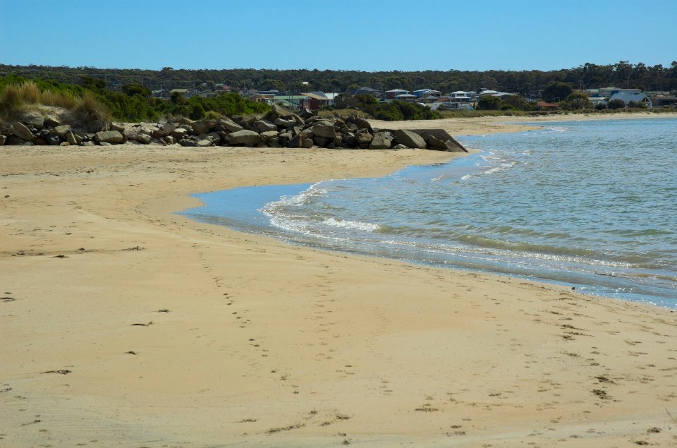 Freers-Beach-20070405-008