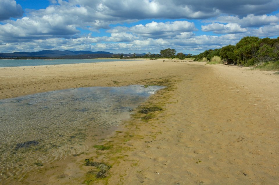 Freers-Beach-20070405-003