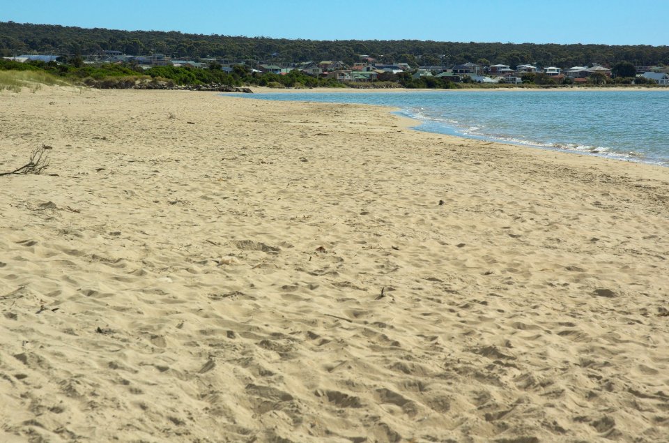 Freers-Beach-20070405-010