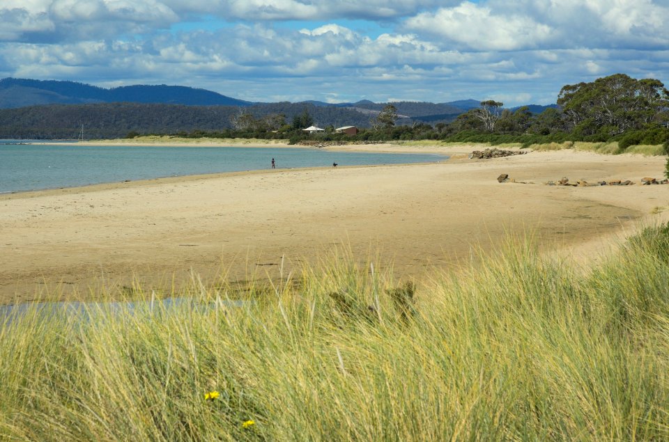 Freers-Beach-20070405-001