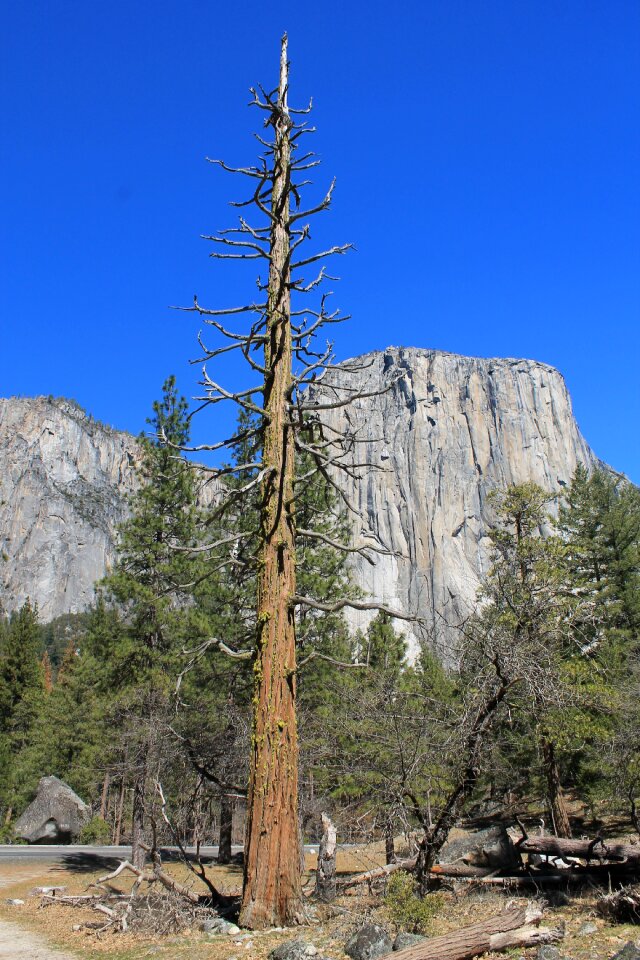 Park california national