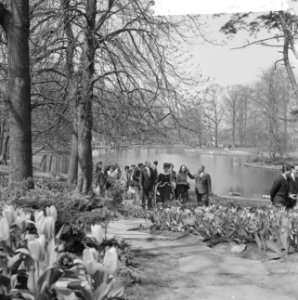 Franse actrice Capucine brengt bezoek aan Keukenhof, Bestanddeelnr 913-8168
