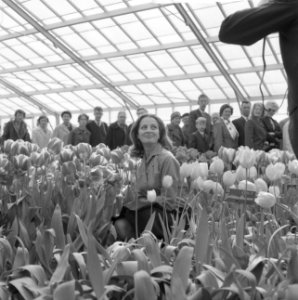 Franse actrice Capucine brengt bezoek aan Keukenhof, Bestanddeelnr 913-8161