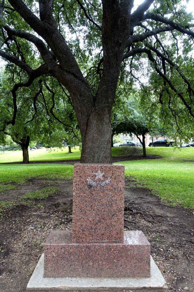 Freedom Tree Memorial - Austin, Texas - DSC08386