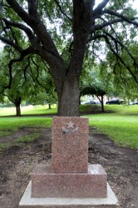 Freedom Tree Memorial - Austin, Texas - DSC08386